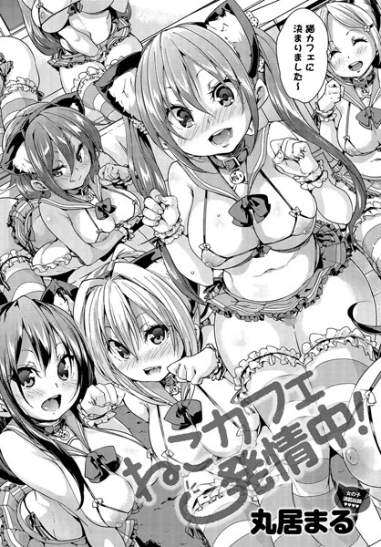 丸居まる|ねこカフェ発情中！（単話）-評価4.80●単話